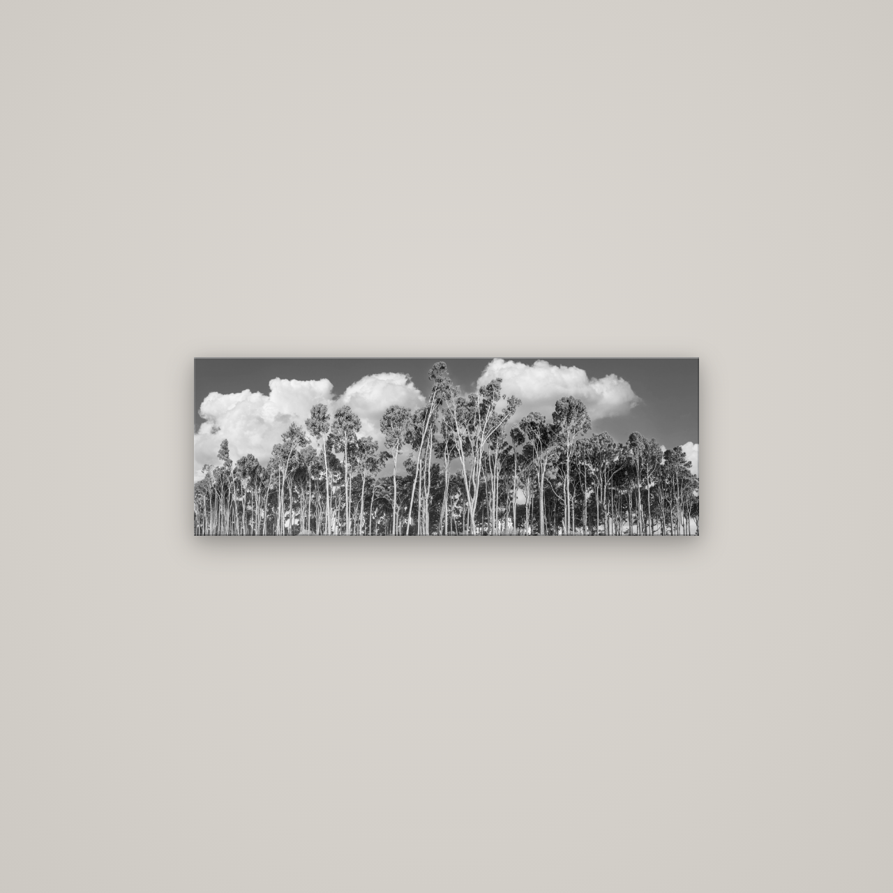 Rimu Reverie, Bruce Bay's Coastal Symphony — No frame, 85×30 cm. New Zealand fine art wall art by Stephen Milner.