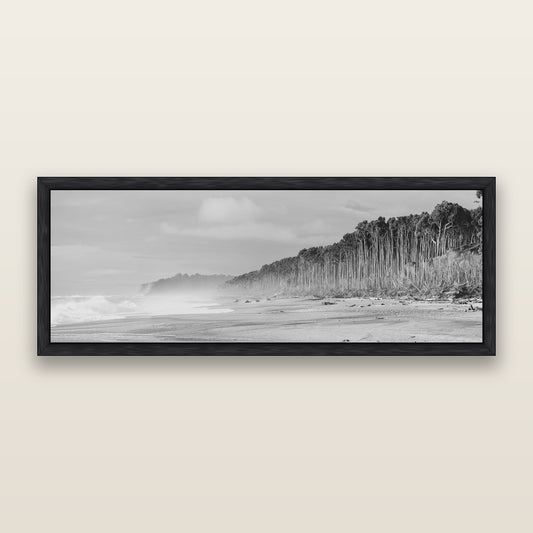 Rimu Rhythms, Bruce Bay's Wild Serenity, black and white framed metallic canvas print, Black frame. New Zealand fine art wall art by Stephen Milner.
