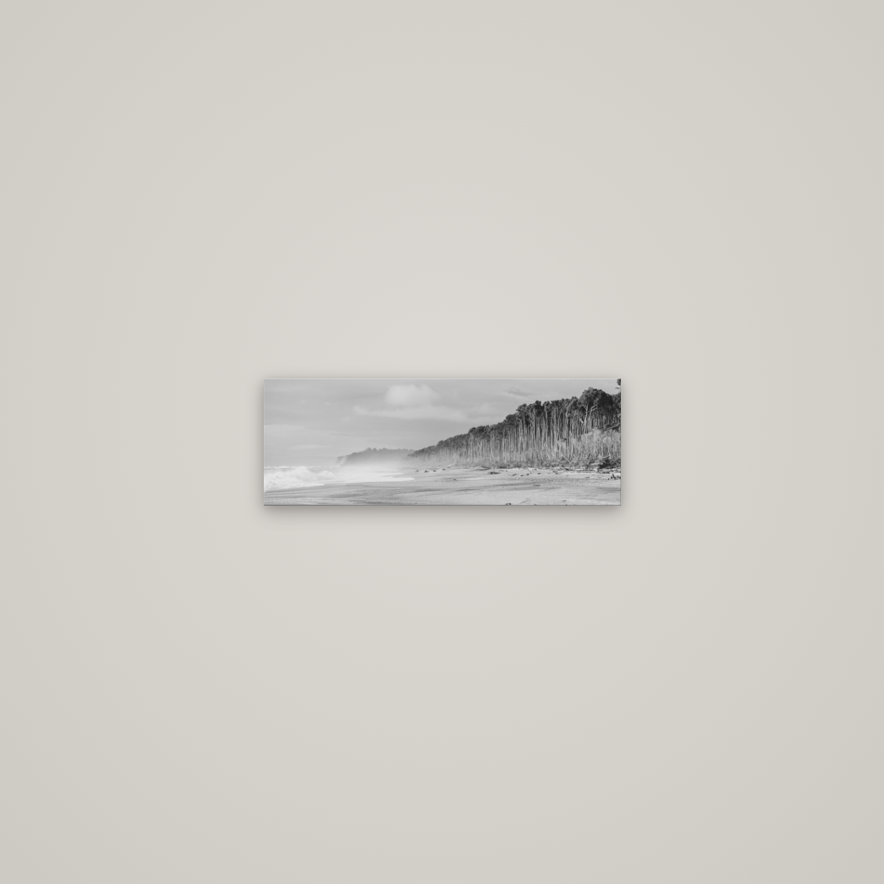 Rimu Rhythms, Bruce Bay's Wild Serenity — No frame, 45×16 cm. New Zealand fine art wall art by Stephen Milner.