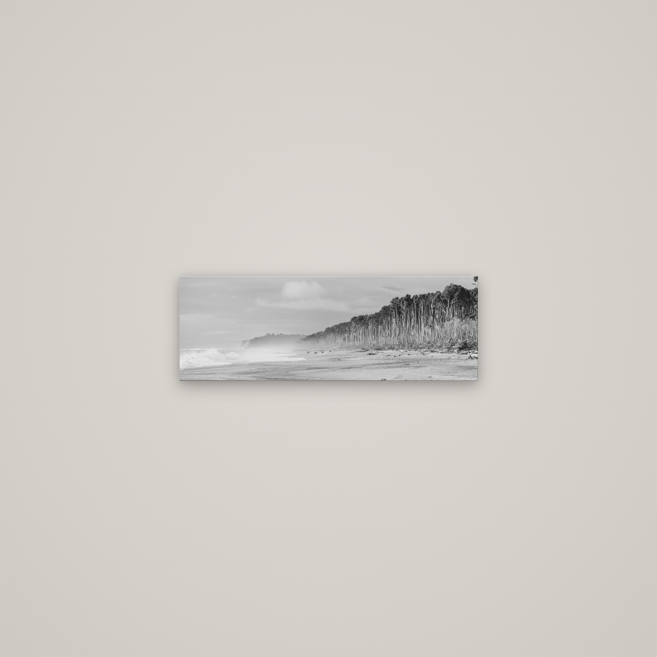Rimu Rhythms, Bruce Bay's Wild Serenity — No frame, 57×20 cm. New Zealand fine art wall art by Stephen Milner.
