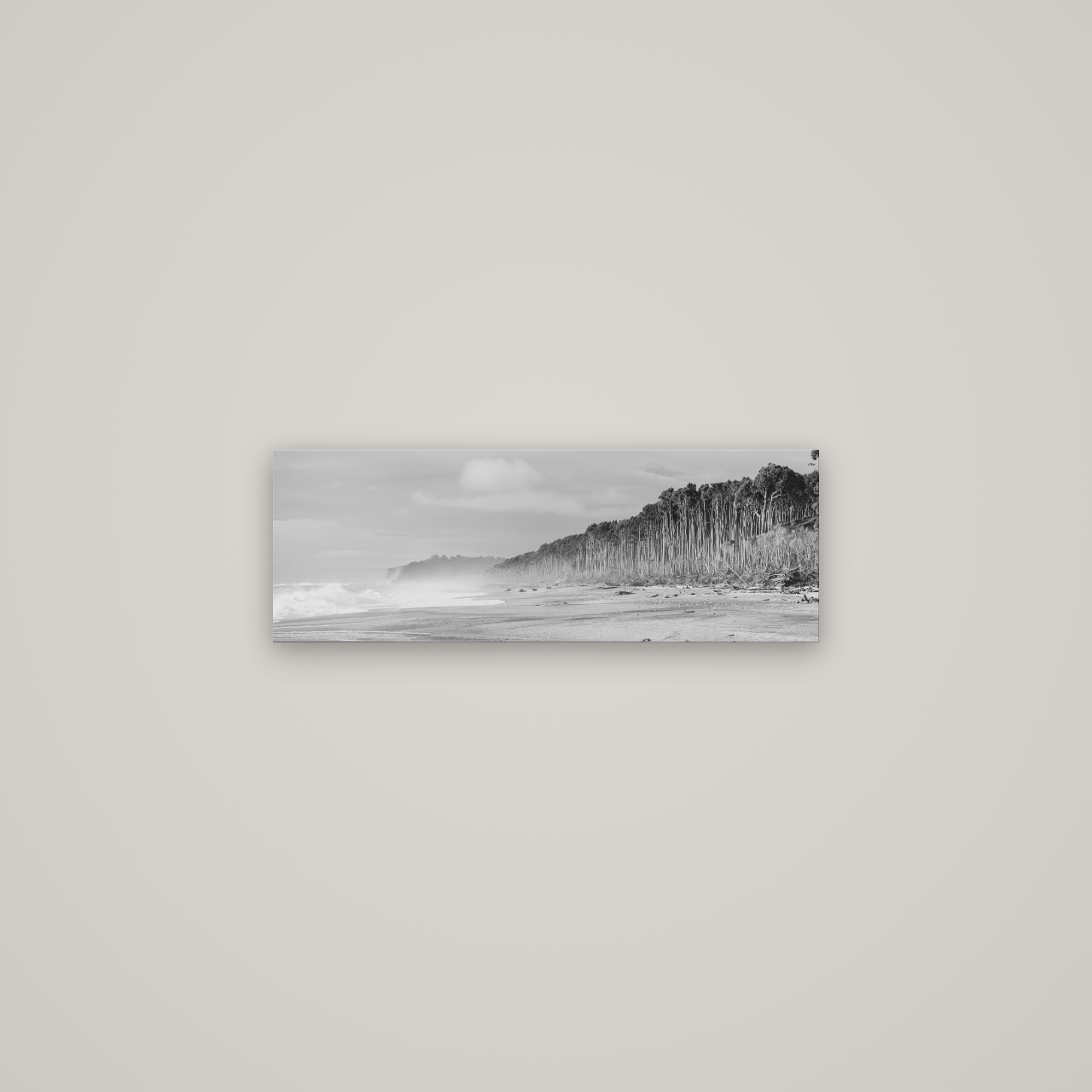 Rimu Rhythms, Bruce Bay's Wild Serenity — No frame, 68×24 cm. New Zealand fine art wall art by Stephen Milner.