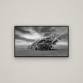 Sculpted by the Winds, Trees of Slope Point — Basel Black, 107×60 cm. New Zealand fine art wall art by Stephen Milner.