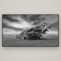 Sculpted by the Winds, Trees of Slope Point — Basel Black, 196×110 cm. New Zealand fine art wall art by Stephen Milner.