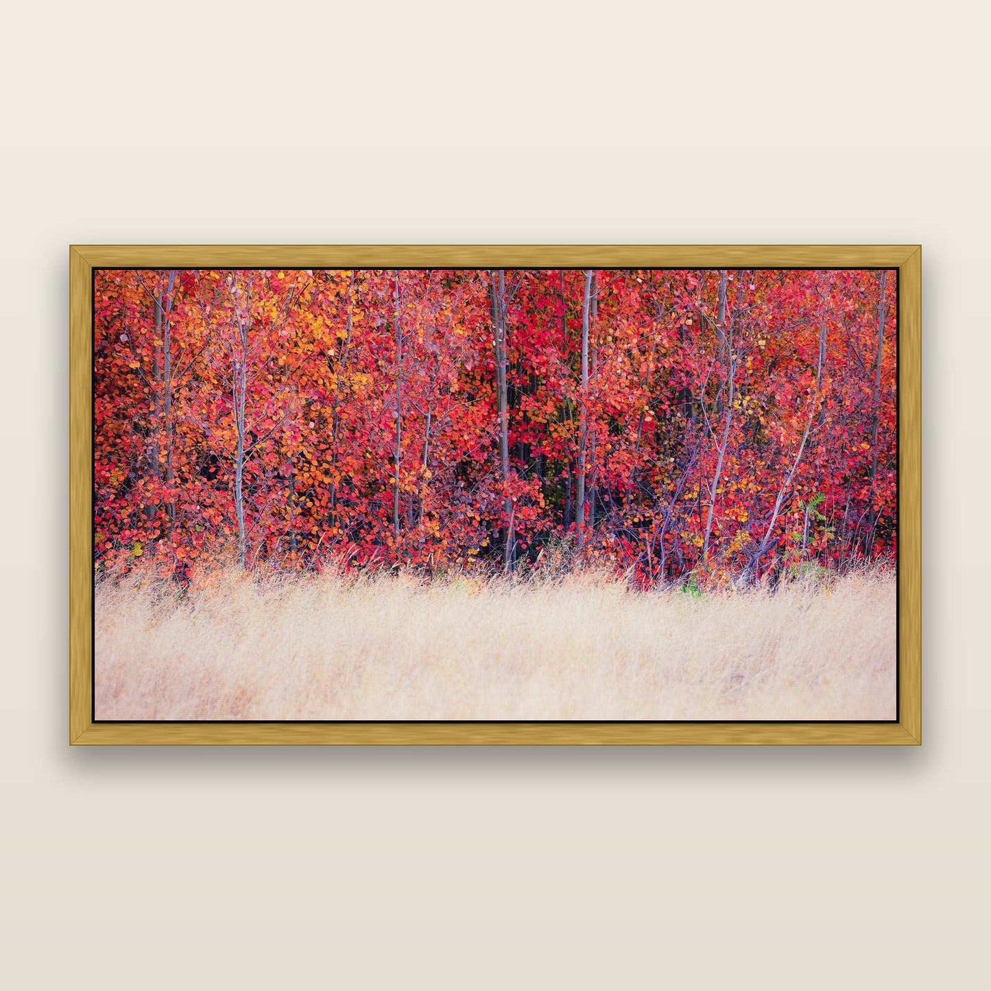 Seasonal Spectacle, Mackenzie Country — framed metallic canvas print, Antique Gold frame. New Zealand fine art landscape wall art by Stephen Milner.