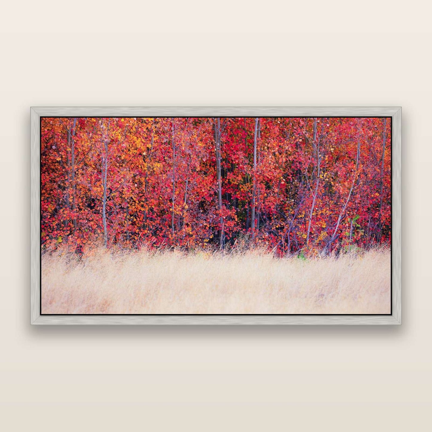Seasonal Spectacle, Mackenzie Country — framed metallic canvas print, Antique Silver frame. New Zealand fine art landscape wall art by Stephen Milner.