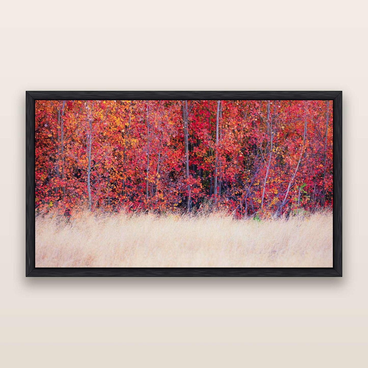 Seasonal Spectacle, Mackenzie Country — framed metallic canvas print, Black frame. New Zealand fine art landscape wall art by Stephen Milner.