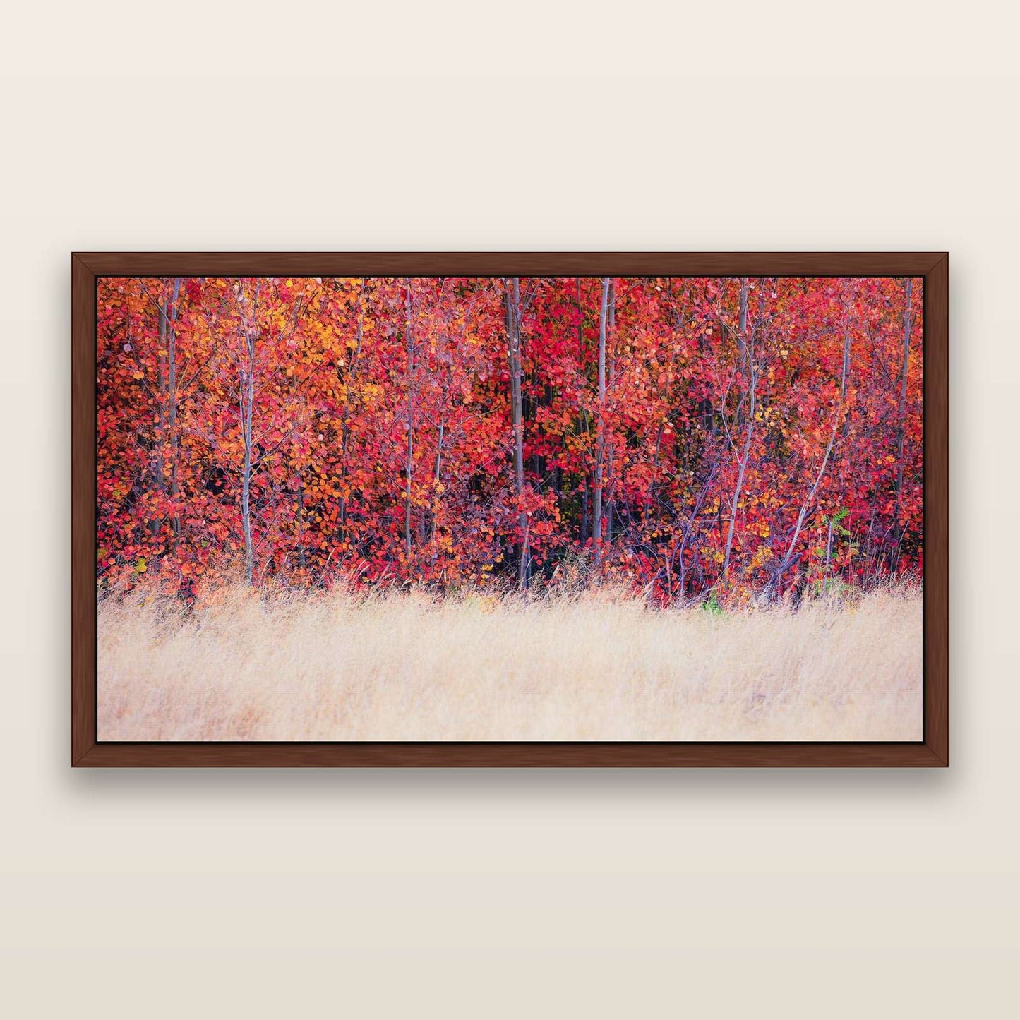 Seasonal Spectacle, Mackenzie Country — framed metallic canvas print, Brown frame. New Zealand fine art landscape wall art by Stephen Milner.
