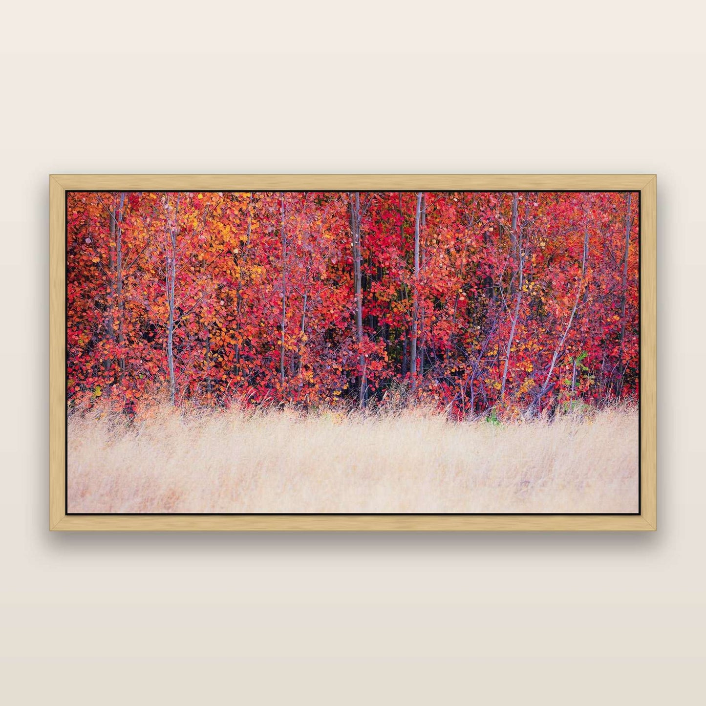 Seasonal Spectacle, Mackenzie Country — framed metallic canvas print, Natural frame. New Zealand fine art landscape wall art by Stephen Milner.