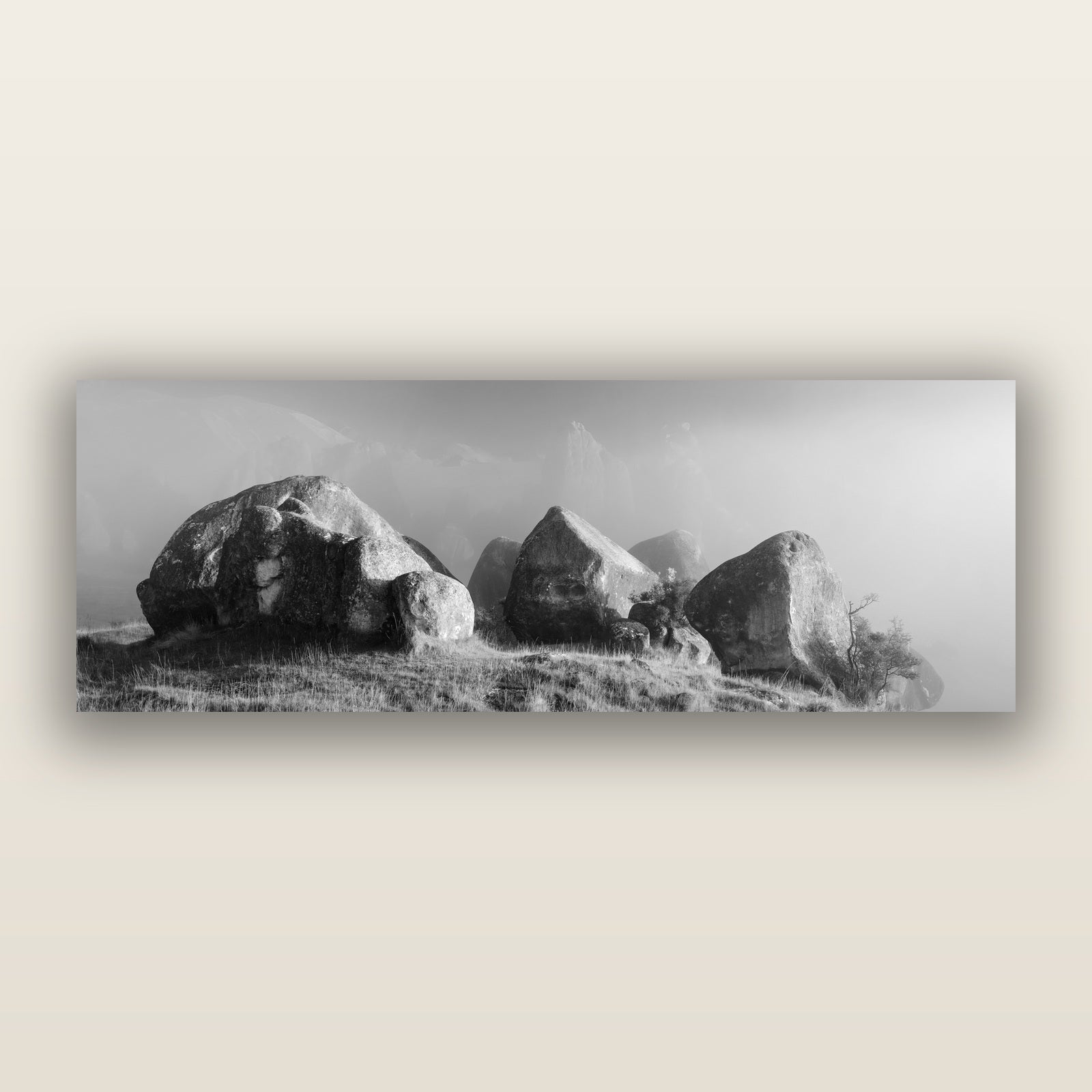 Sentinels in the Mist, Castle Hill, black and white frameless acrylic glass print. New Zealand fine art photography by Stephen Milner.