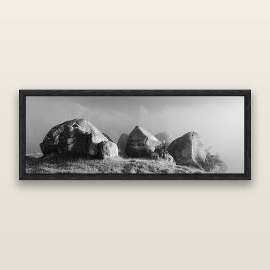 Sentinels in the Mist, Castle Hill, black and white framed metallic canvas print, Black frame. New Zealand fine art wall art by Stephen Milner.