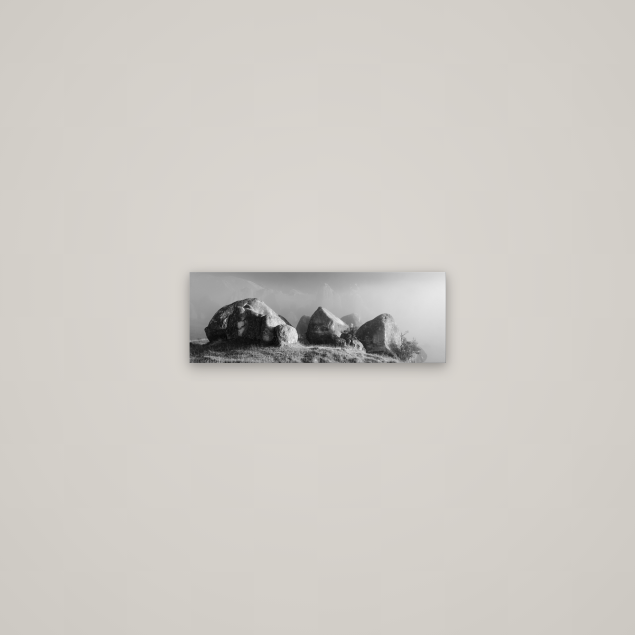 Sentinels in the Mist, Castle Hill — No frame, 45×16 cm. New Zealand fine art wall art by Stephen Milner.