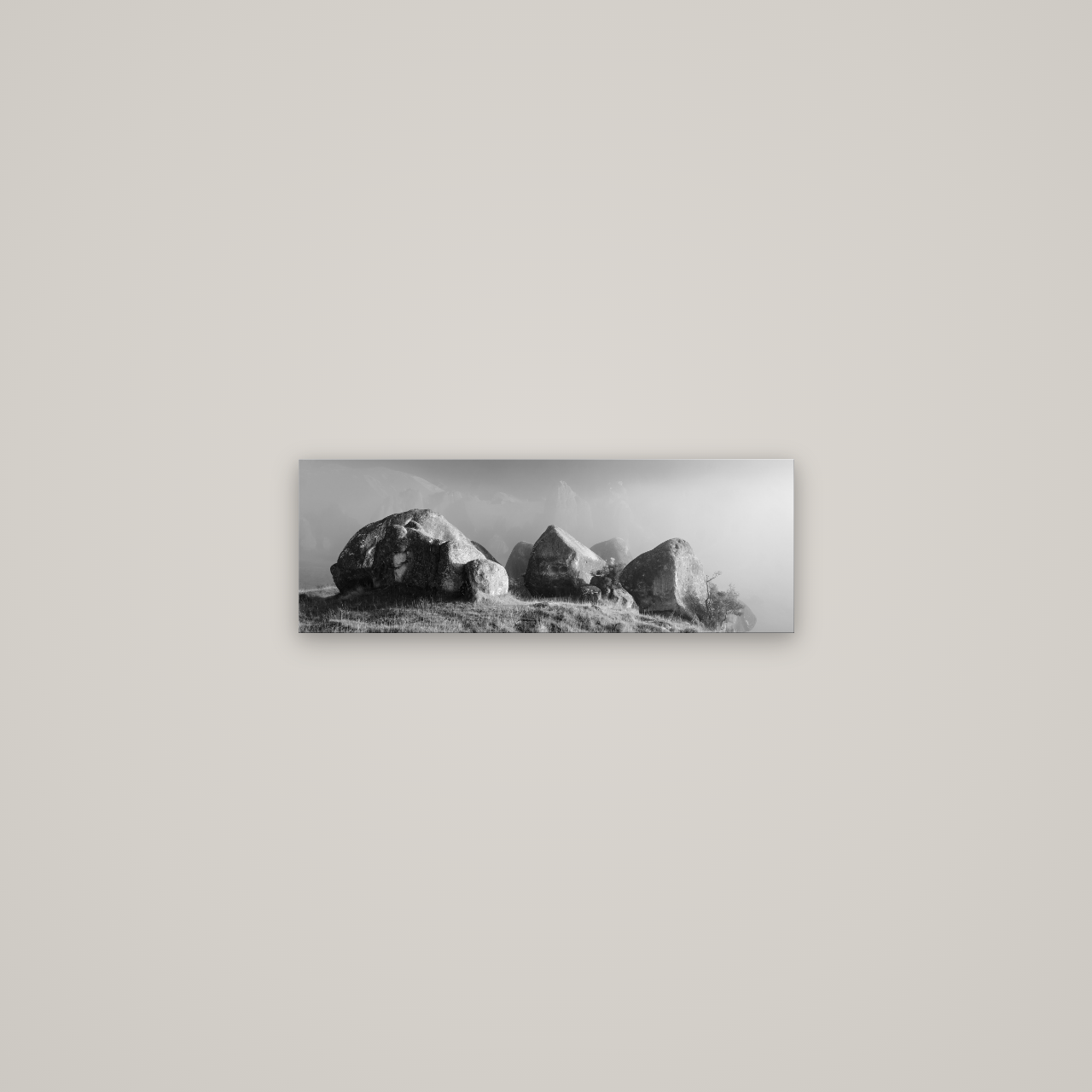 Sentinels in the Mist, Castle Hill — No frame, 57×20 cm. New Zealand fine art wall art by Stephen Milner.