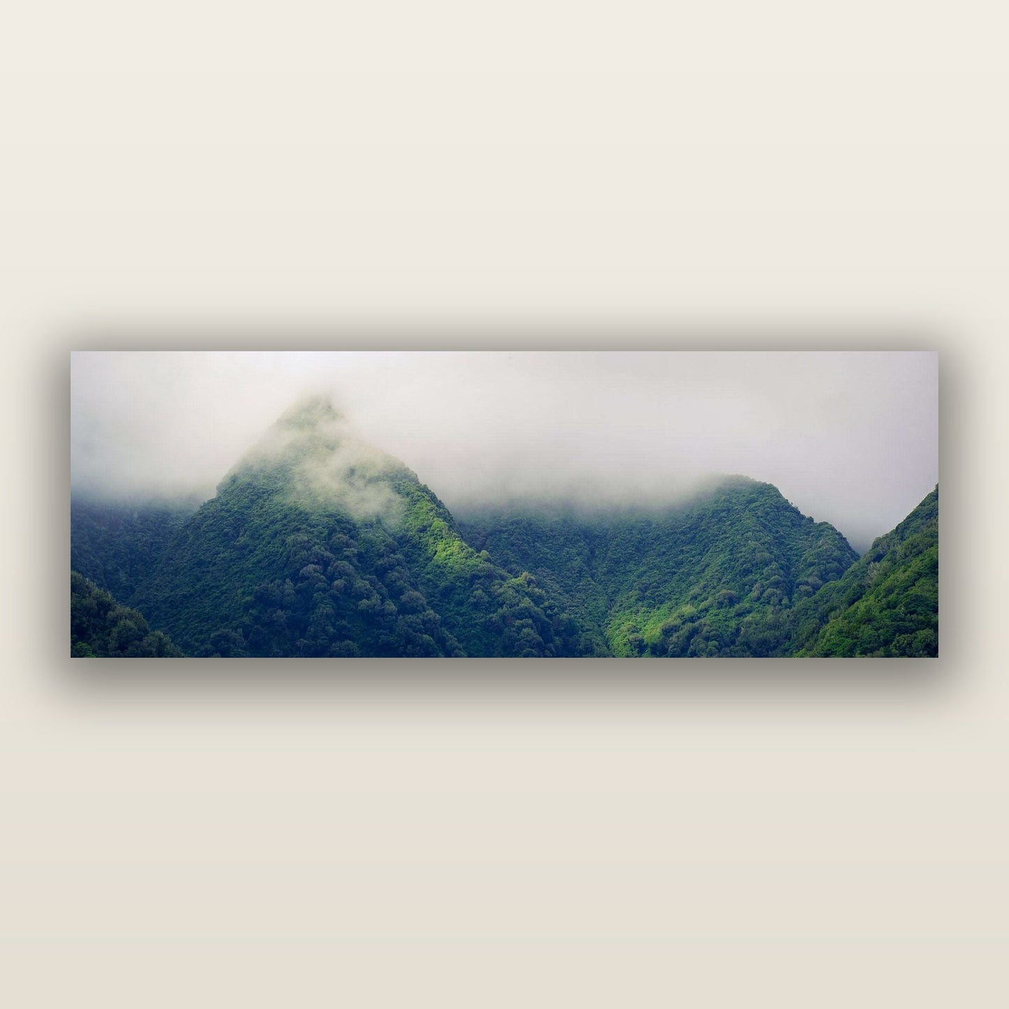 Shrouded in Mystery, West Coast — frameless acrylic glass print. New Zealand fine art landscape photography by Stephen Milner.