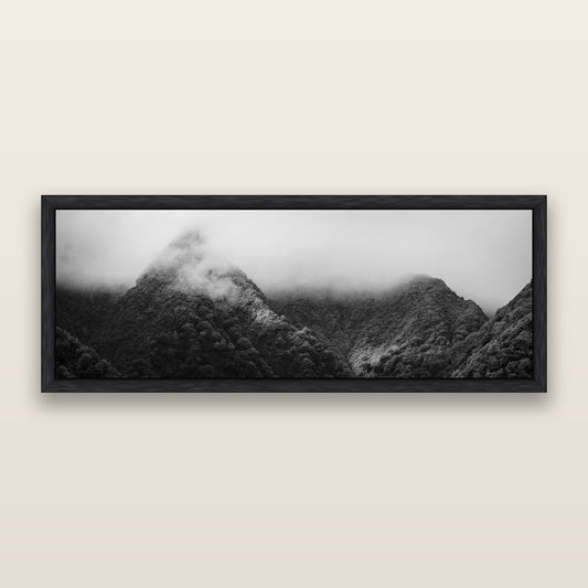 Shrouded in Mystery, West Coast, black and white framed metallic canvas print, Black frame. New Zealand fine art wall art by Stephen Milner.