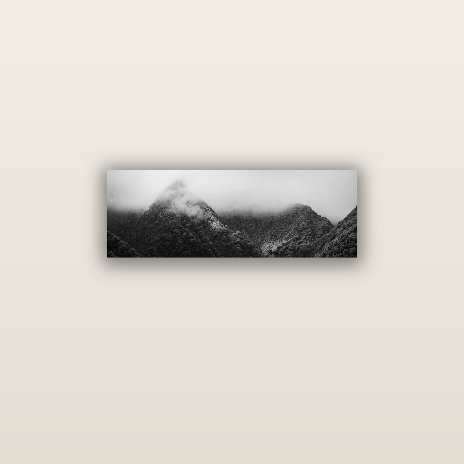Shrouded in Mystery, West Coast — acrylic glass print, 76 × 25 cm. New Zealand fine art landscape wall art by Stephen Milner.