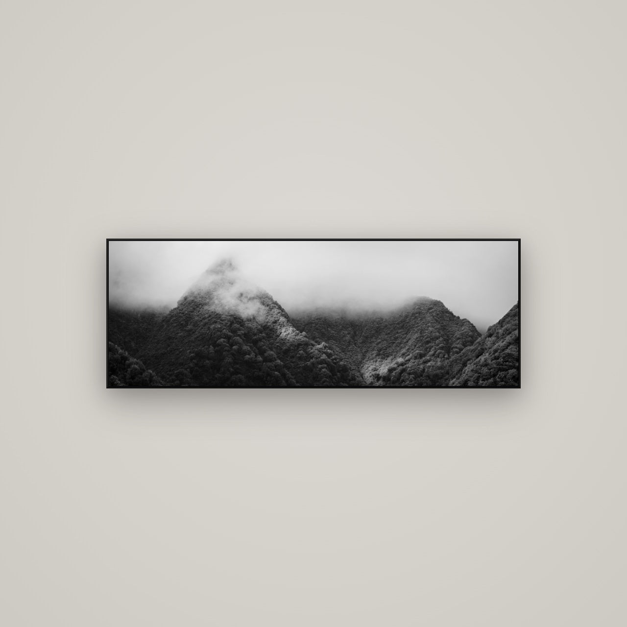 Shrouded in Mystery, West Coast — ArtBox Black, 113×40 cm. New Zealand fine art wall art by Stephen Milner.