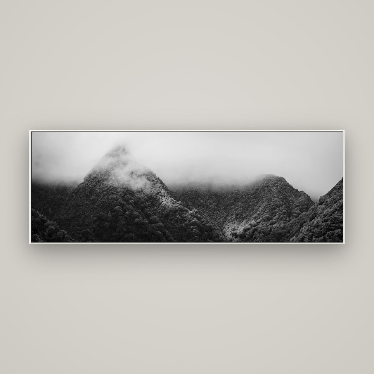 Shrouded in Mystery, West Coast — ArtBox White, 170×60 cm. New Zealand fine art wall art by Stephen Milner.