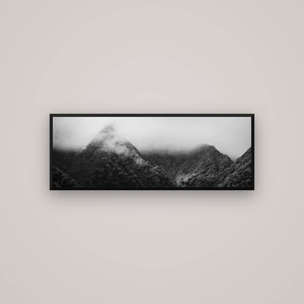 Shrouded in Mystery, West Coast — Basel Black Matte, 113×40 cm. New Zealand fine art wall art by Stephen Milner.
