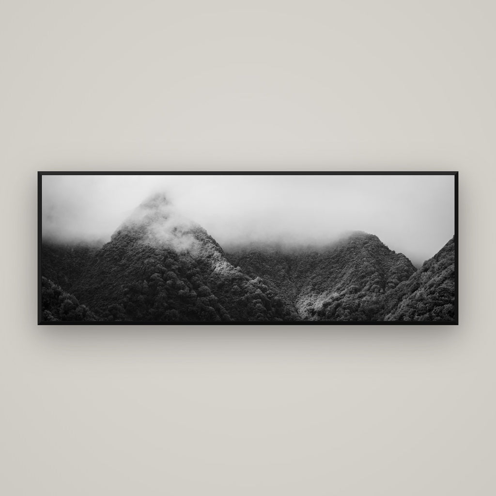 Shrouded in Mystery, West Coast — Basel Black Matte, 170×60 cm. New Zealand fine art wall art by Stephen Milner.