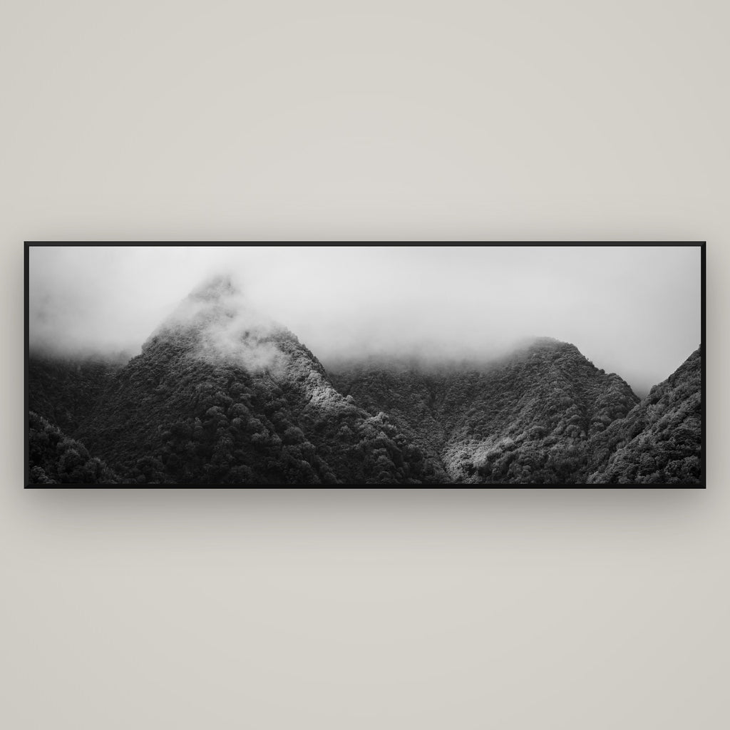 Shrouded in Mystery, West Coast — Basel Black Matte, 198×70 cm. New Zealand fine art wall art by Stephen Milner.