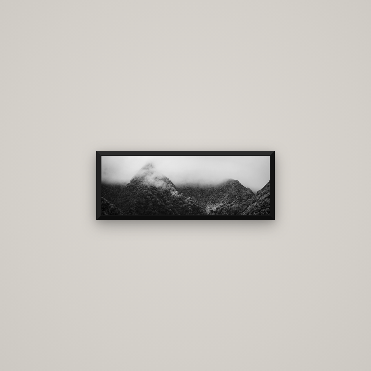 Shrouded in Mystery, West Coast — Basel Black Matte, 57×20 cm. New Zealand fine art wall art by Stephen Milner.