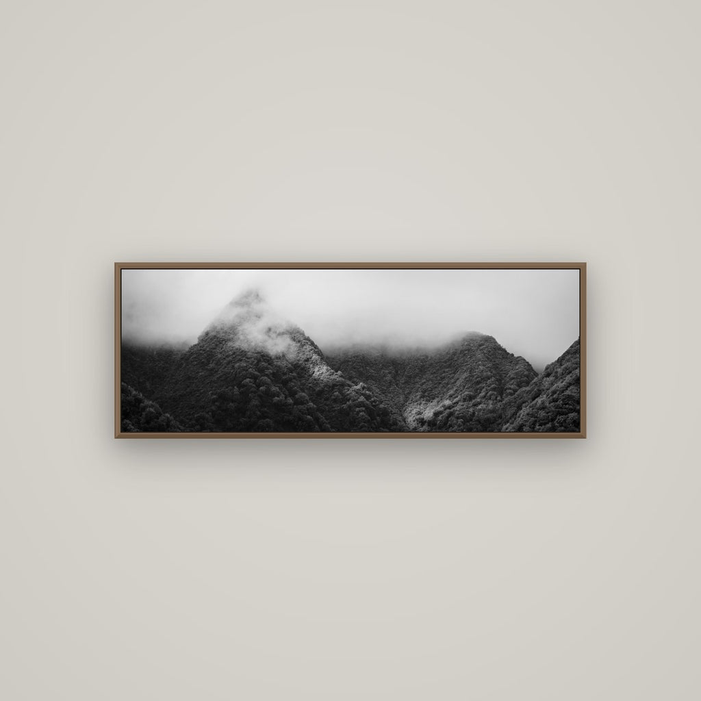 Shrouded in Mystery, West Coast, Basel Walnut, 113×40 cm. New Zealand fine art wall art by Stephen Milner.