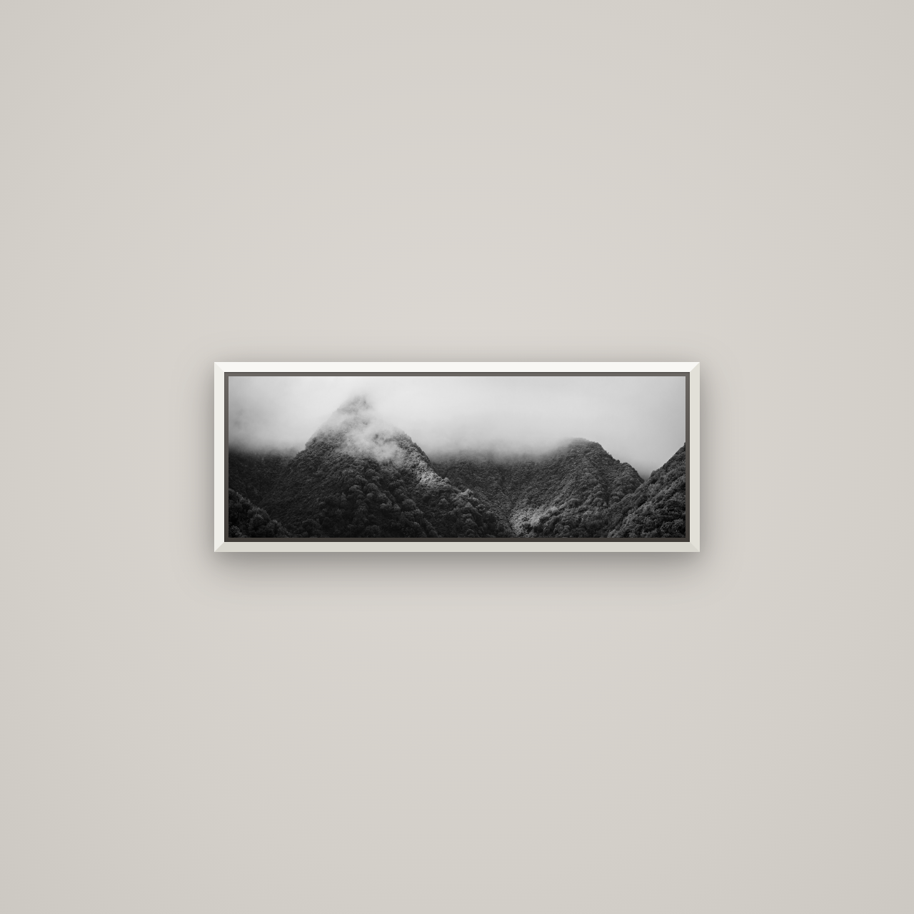 Shrouded in Mystery, West Coast — Basel White, 68×24 cm. New Zealand fine art wall art by Stephen Milner.