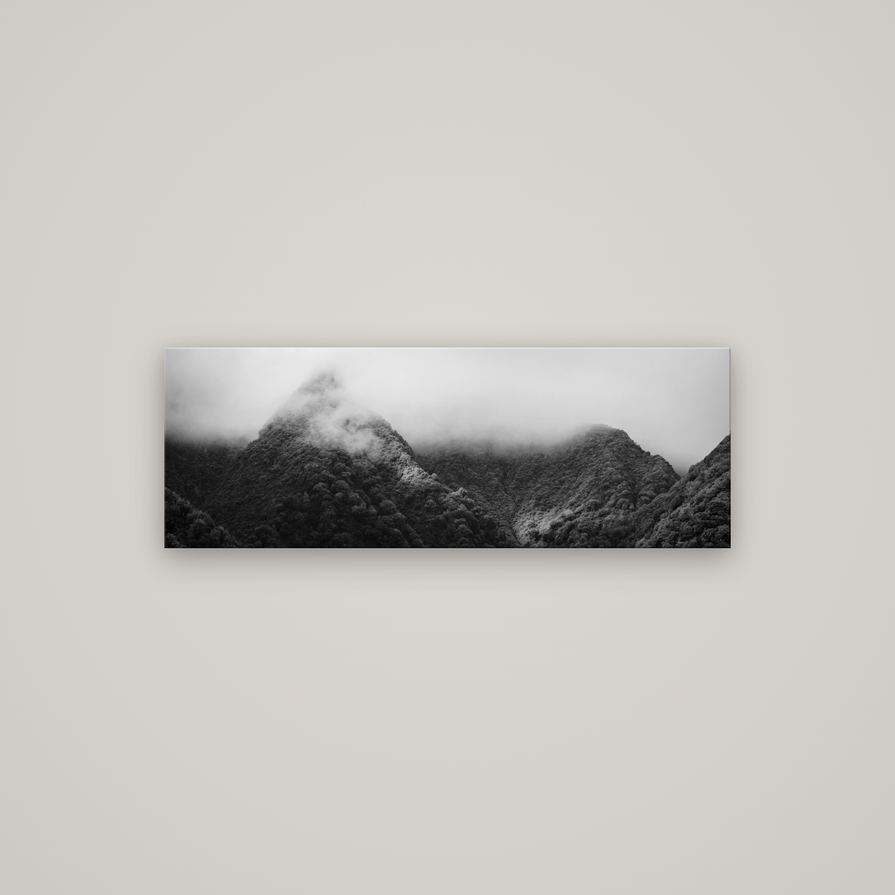 Shrouded in Mystery, West Coast — No frame, 113×40 cm. New Zealand fine art wall art by Stephen Milner.