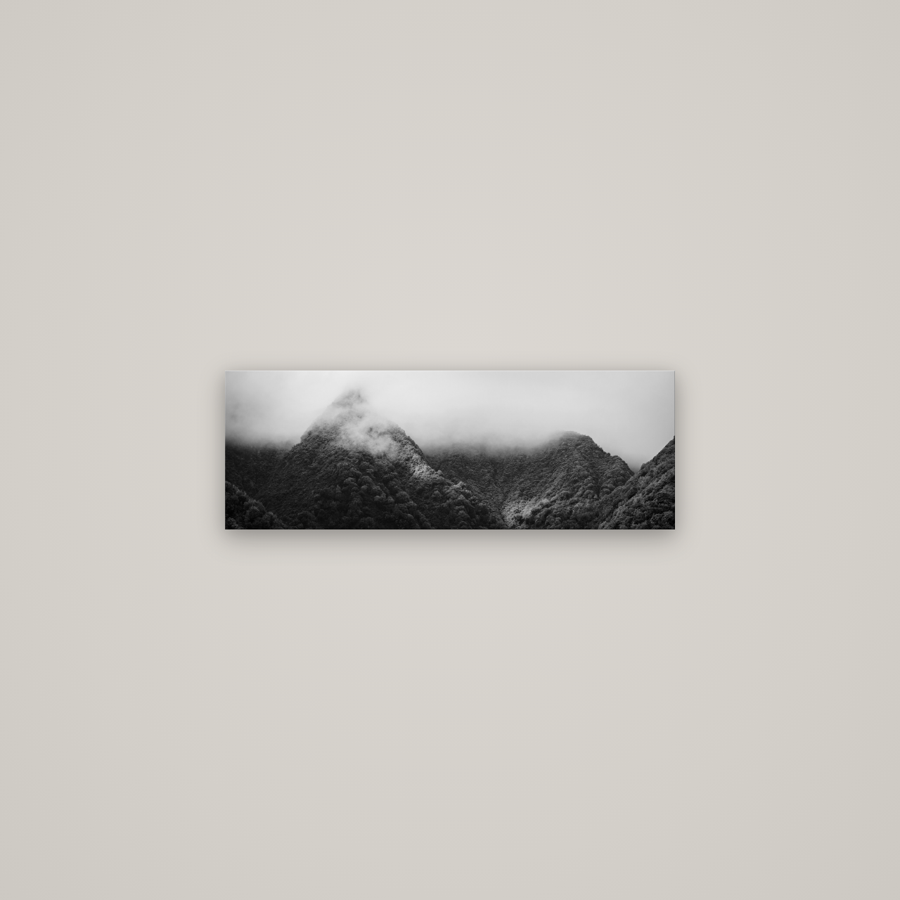 Shrouded in Mystery, West Coast — No frame, 68×24 cm. New Zealand fine art wall art by Stephen Milner.