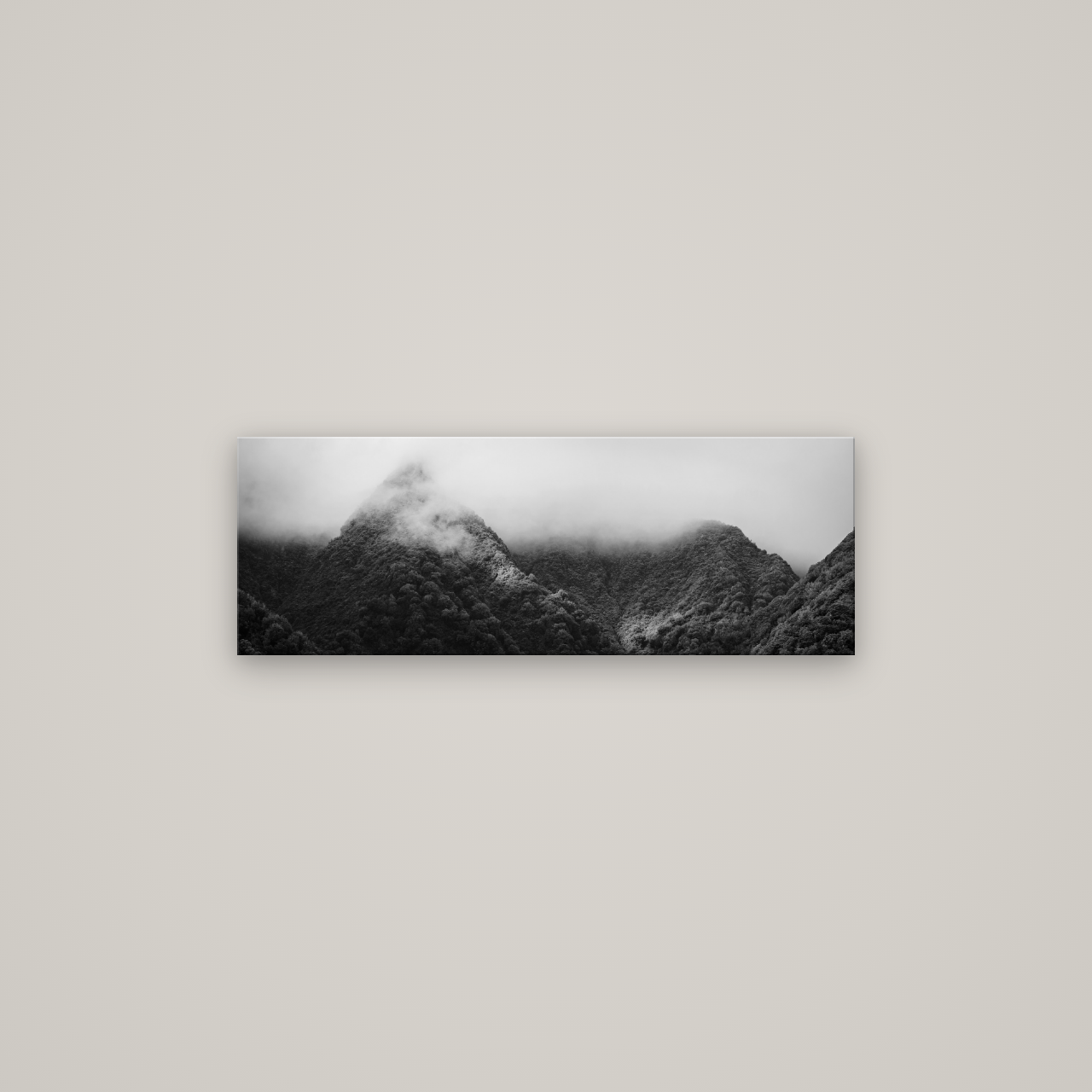Shrouded in Mystery, West Coast — No frame, 85×30 cm. New Zealand fine art wall art by Stephen Milner.