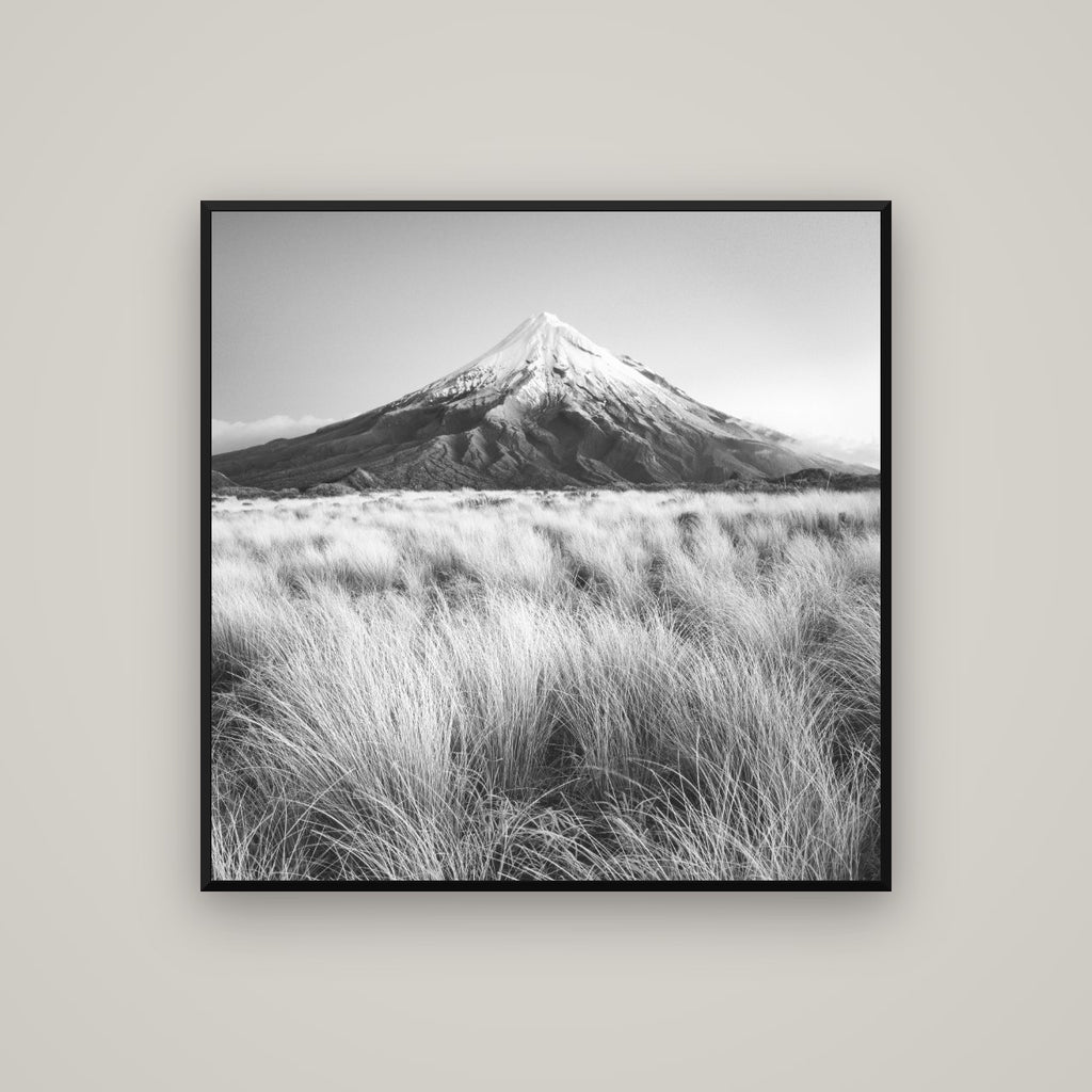 Silent Point, Mount Taranaki — Basel Black Matte, 100×100 cm. New Zealand fine art wall art by Stephen Milner.