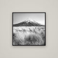 Silent Point, Mount Taranaki — Basel Black, 80×80 cm. New Zealand fine art wall art by Stephen Milner.