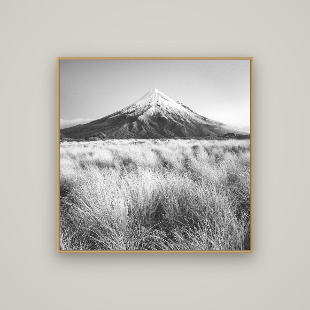 Silent Point, Mount Taranaki, Basel Natural Oak, 100×100 cm. New Zealand fine art wall art by Stephen Milner.