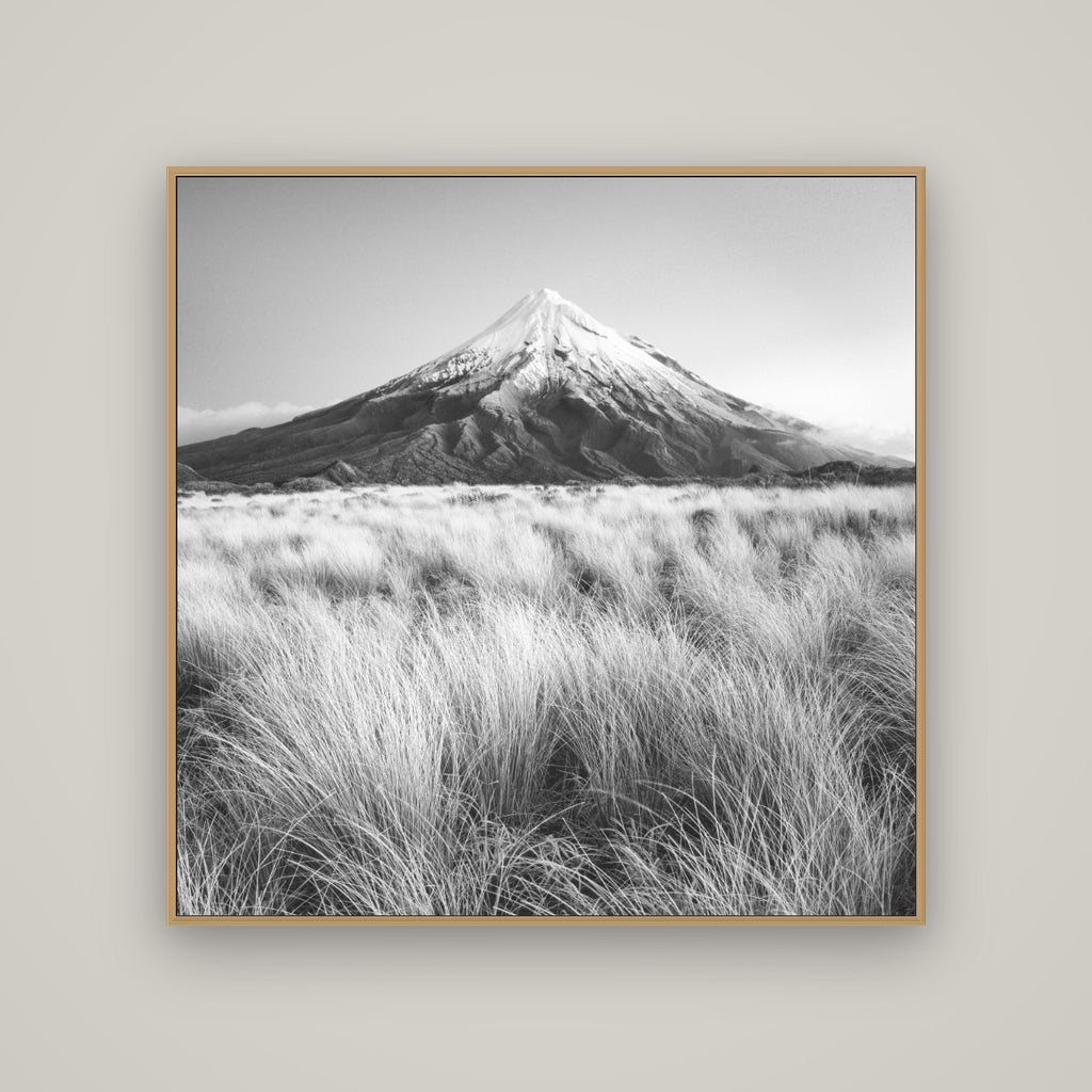 Silent Point, Mount Taranaki, Basel Natural Oak, 120×120 cm. New Zealand fine art wall art by Stephen Milner.