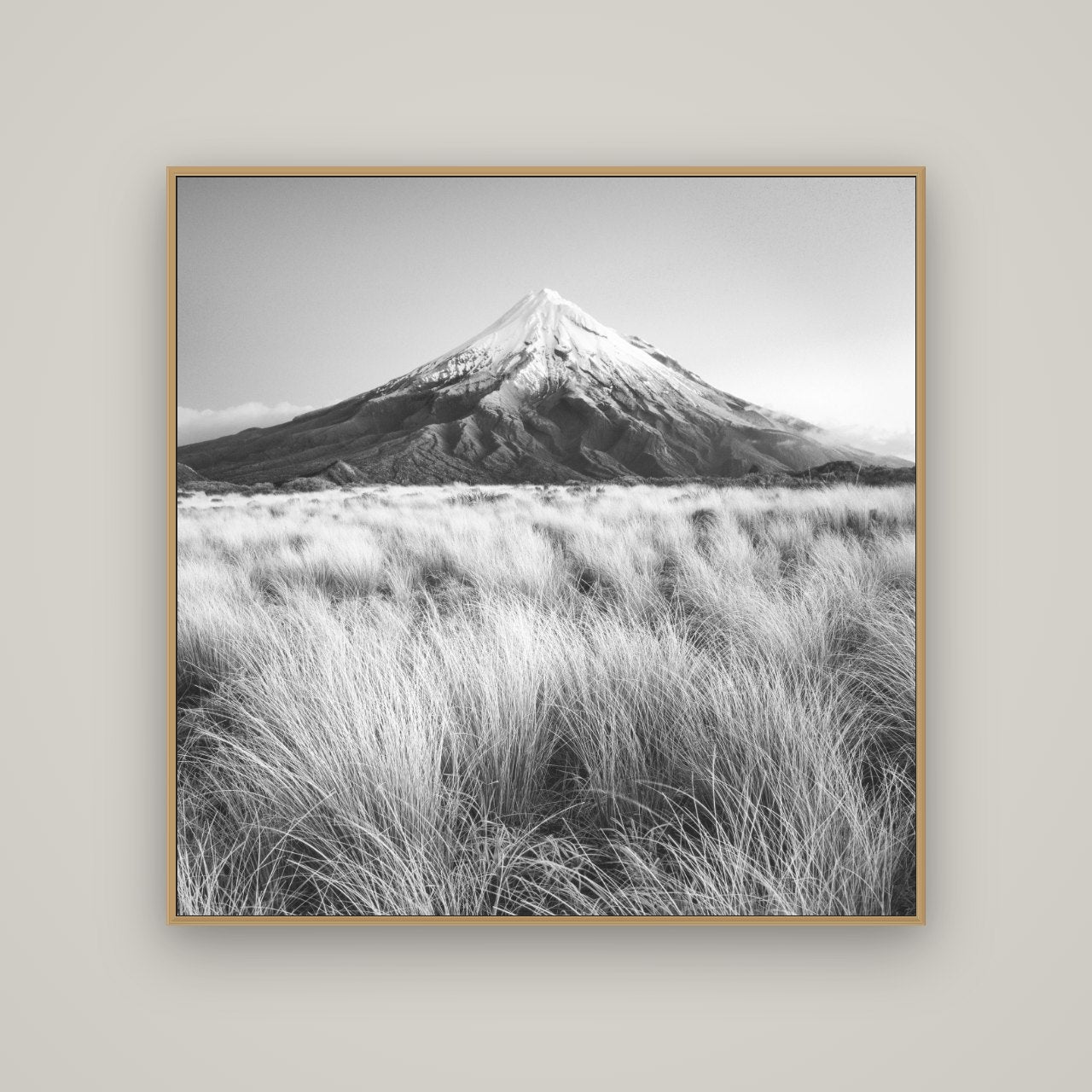 Silent Point, Mount Taranaki, Basel Natural Oak, 120×120 cm. New Zealand fine art wall art by Stephen Milner.