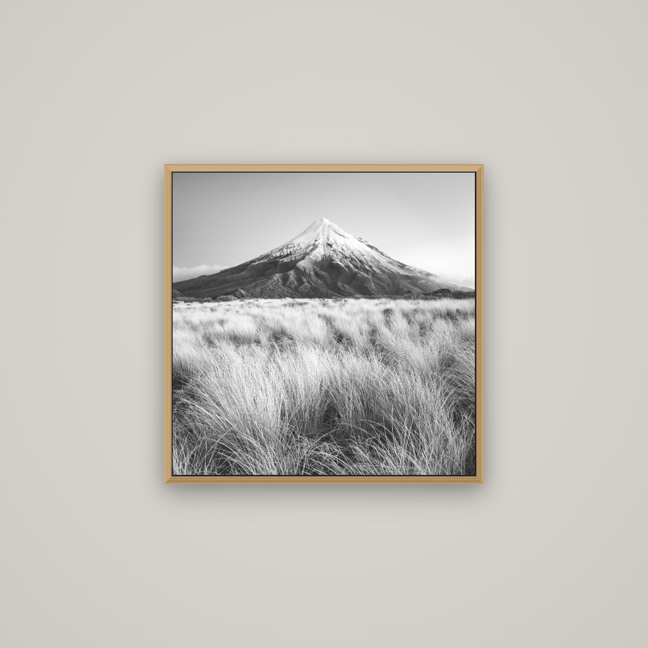 Silent Point, Mount Taranaki, Basel Natural Oak, 60×60 cm. New Zealand fine art wall art by Stephen Milner.