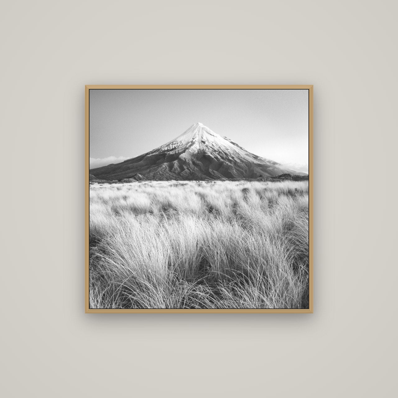 Silent Point, Mount Taranaki, Basel Natural Oak, 80×80 cm. New Zealand fine art wall art by Stephen Milner.