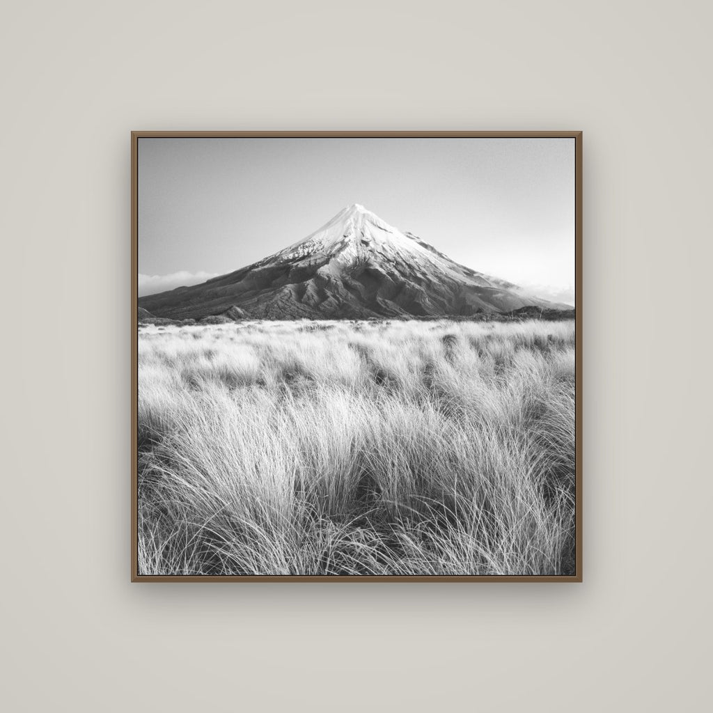 Silent Point, Mount Taranaki, Basel Walnut, 100×100 cm. New Zealand fine art wall art by Stephen Milner.