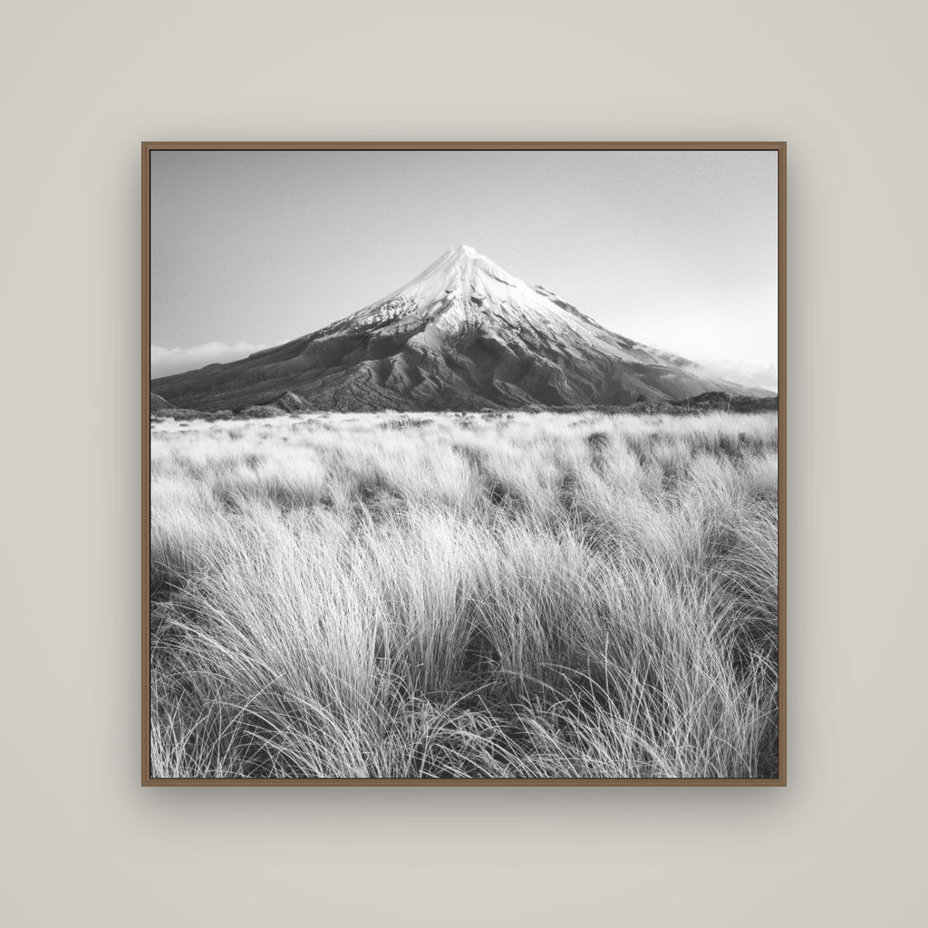 Silent Point, Mount Taranaki, Basel Walnut, 120×120 cm. New Zealand fine art wall art by Stephen Milner.