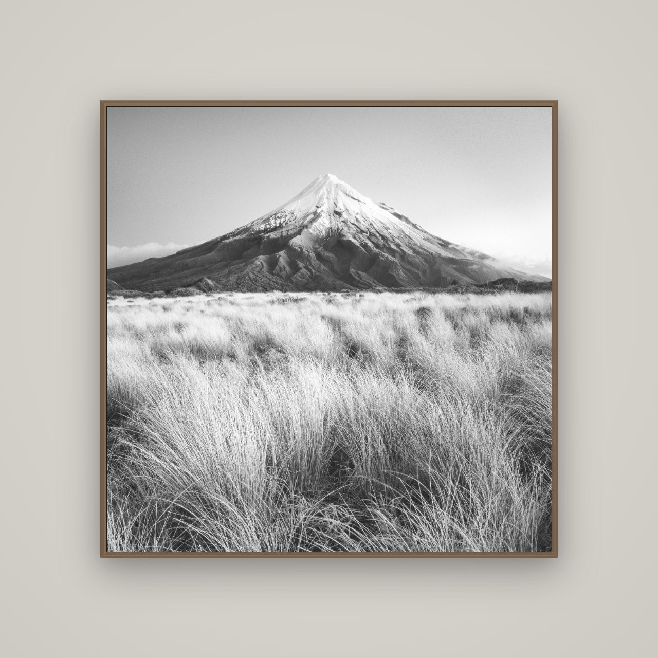 Silent Point, Mount Taranaki, Basel Walnut, 120×120 cm. New Zealand fine art wall art by Stephen Milner.