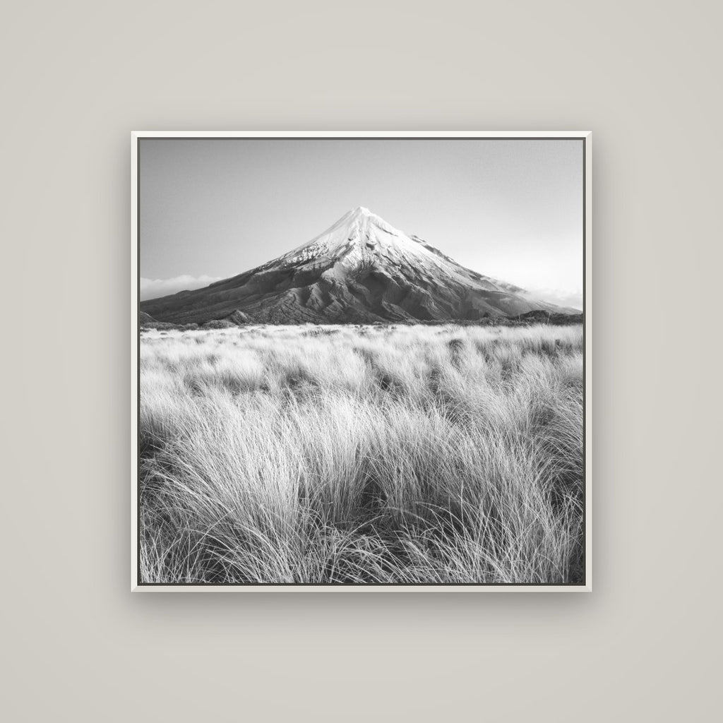 Silent Point, Mount Taranaki — Basel White, 100×100 cm. New Zealand fine art wall art by Stephen Milner.