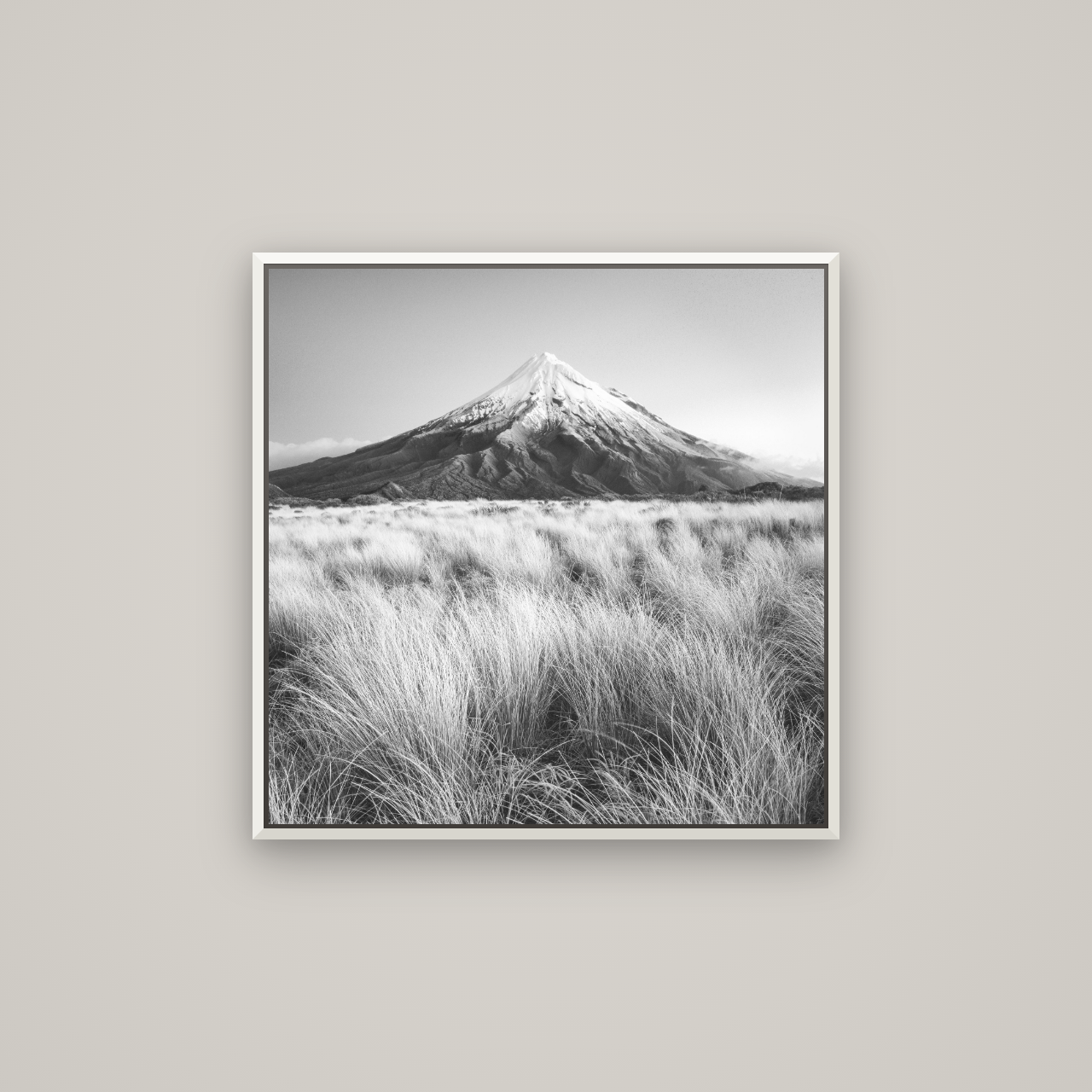 Silent Point, Mount Taranaki — Basel White, 70×70 cm. New Zealand fine art wall art by Stephen Milner.