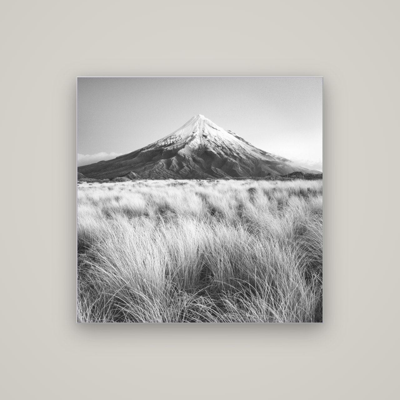 Silent Point, Mount Taranaki — Slimline Silver, 100×100 cm. New Zealand fine art wall art by Stephen Milner.