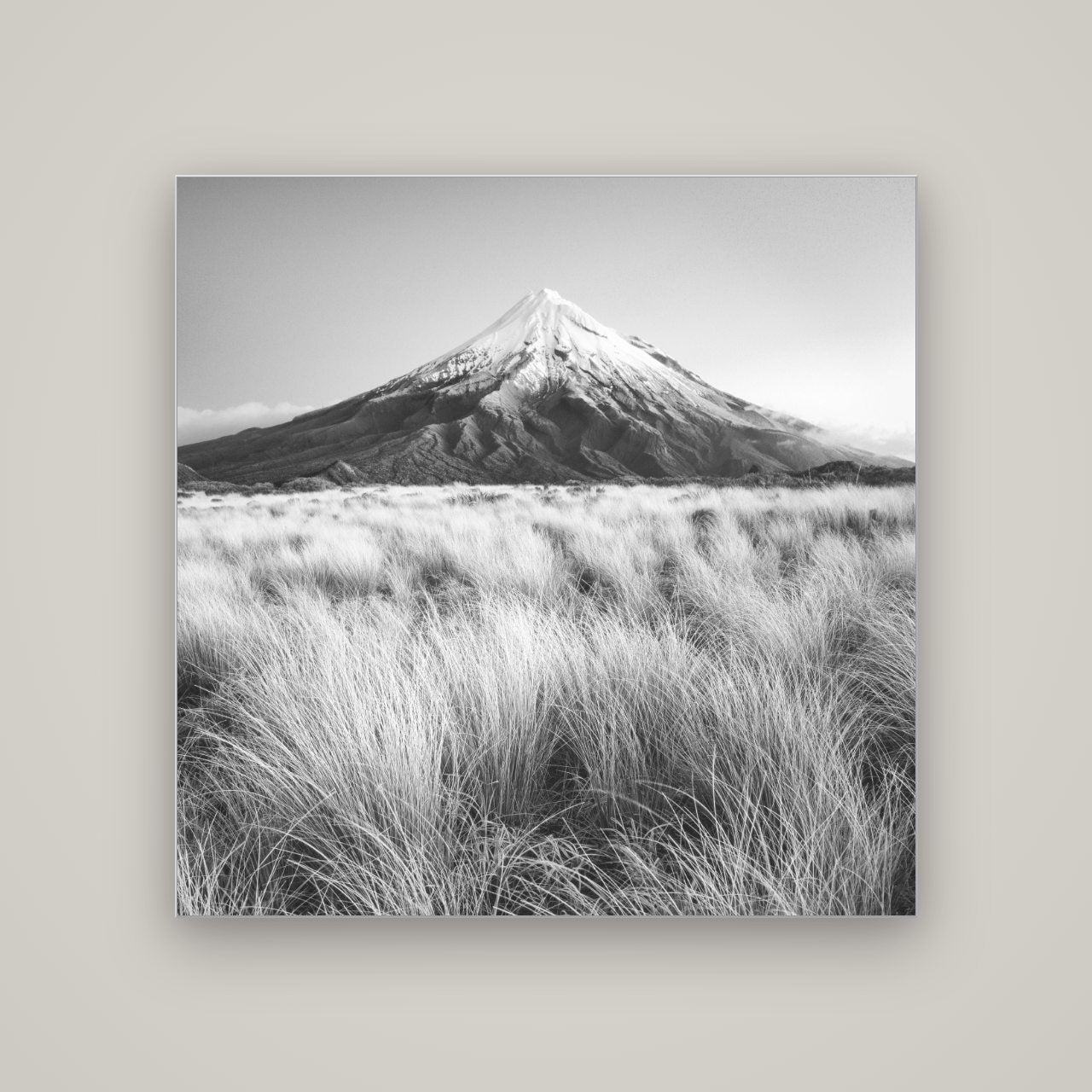 Silent Point, Mount Taranaki — Slimline Silver, 120×120 cm. New Zealand fine art wall art by Stephen Milner.