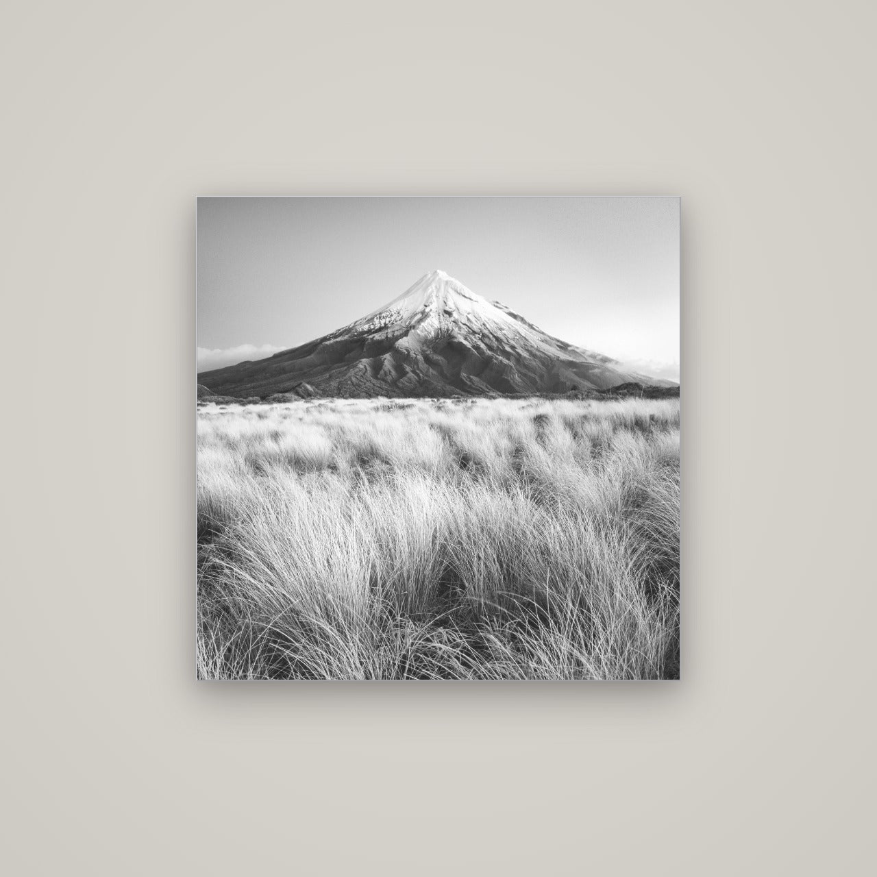 Silent Point, Mount Taranaki — Slimline Silver, 80×80 cm. New Zealand fine art wall art by Stephen Milner.