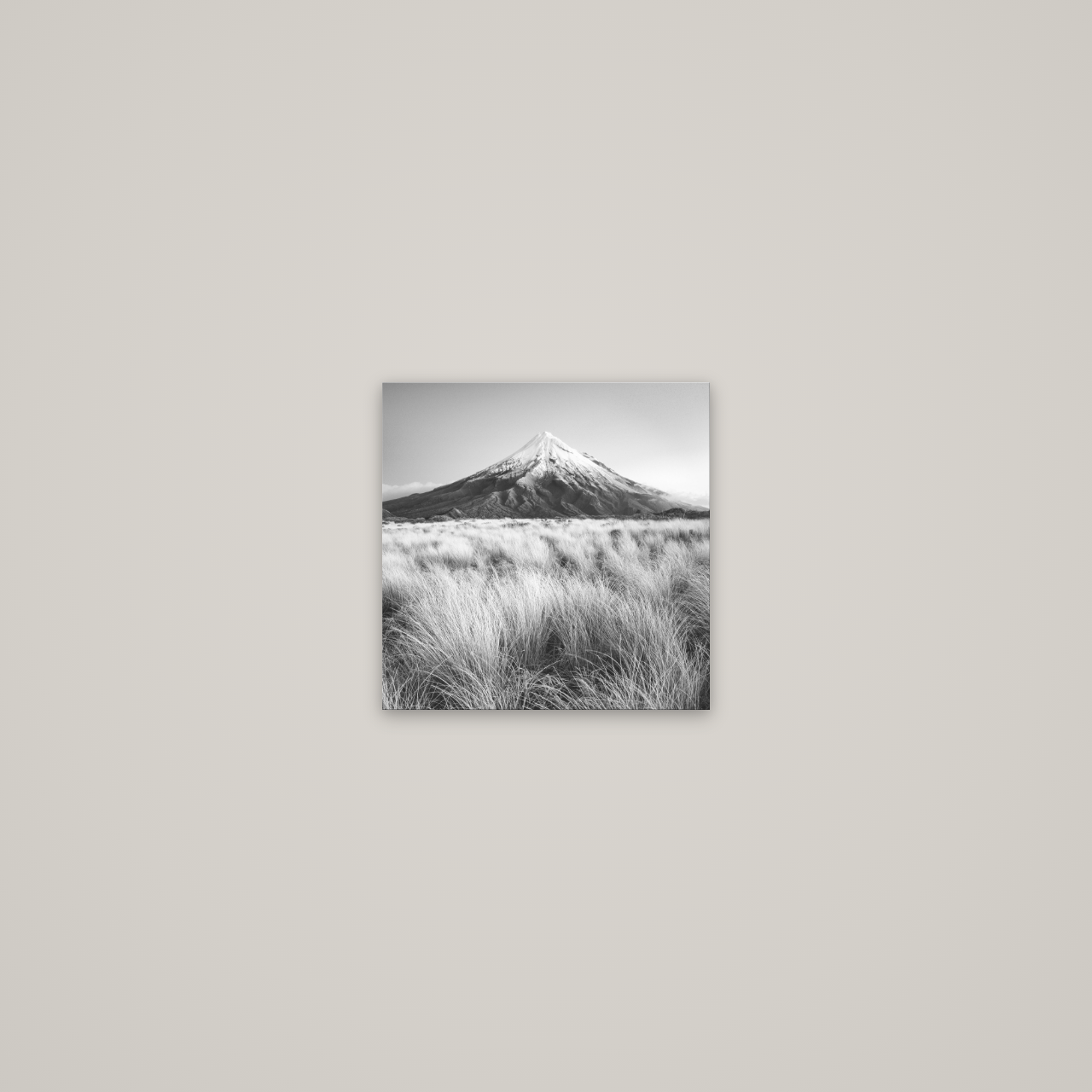 Silent Point, Mount Taranaki — No frame, 20×20 cm. New Zealand fine art wall art by Stephen Milner.