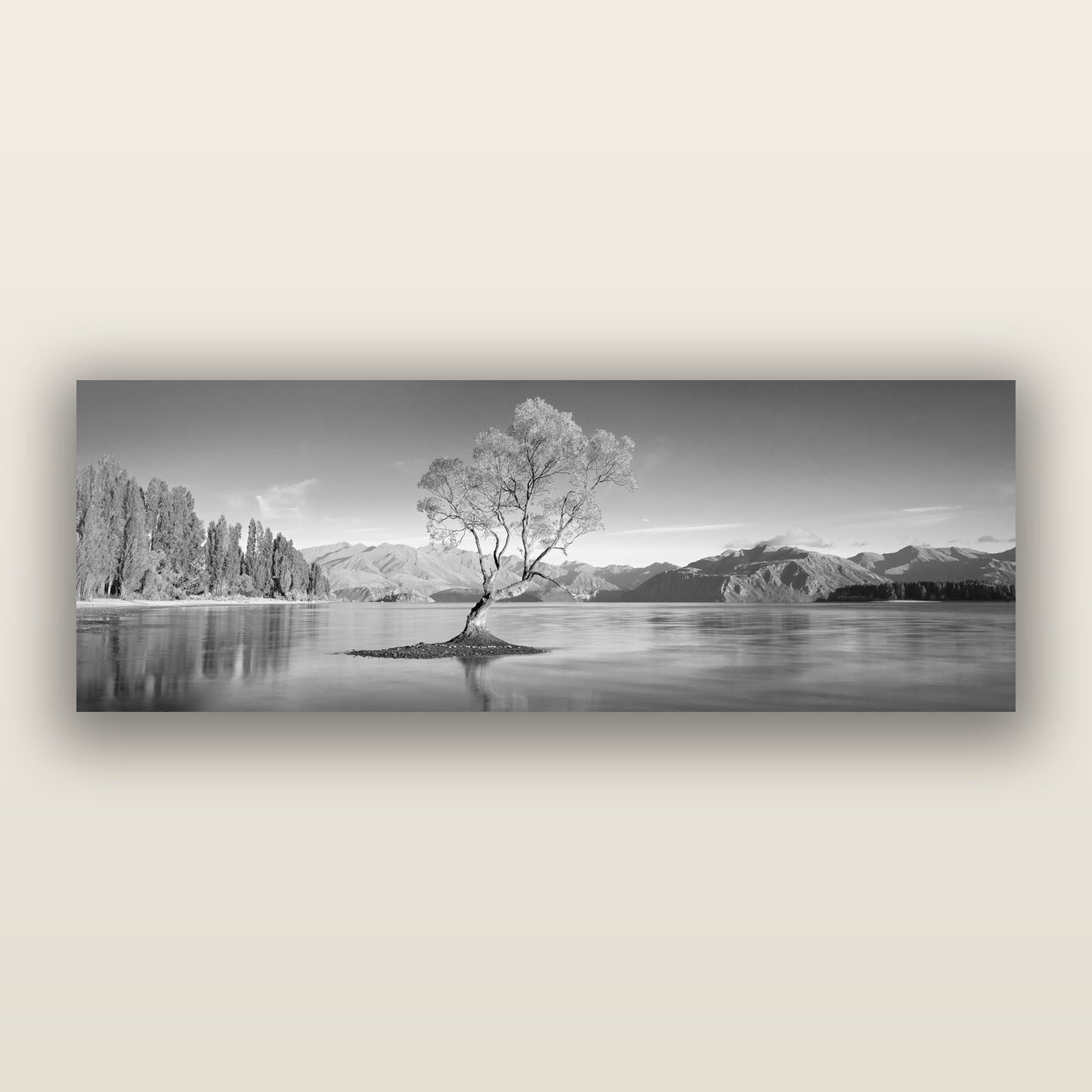 Solitude in the Shallows, Lake Wanaka, black and white frameless acrylic glass print. New Zealand fine art photography by Stephen Milner.