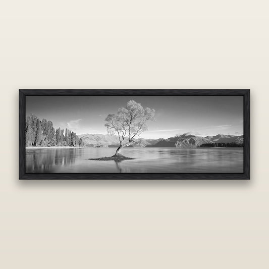 Solitude in the Shallows, Lake Wanaka, black and white framed metallic canvas print, Black frame. New Zealand fine art wall art by Stephen Milner.