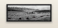 Solitude in the Wild, Barrels of Resilience — black float frame canvas, 152 × 56 cm. New Zealand fine art landscape wall art by Stephen Milner.