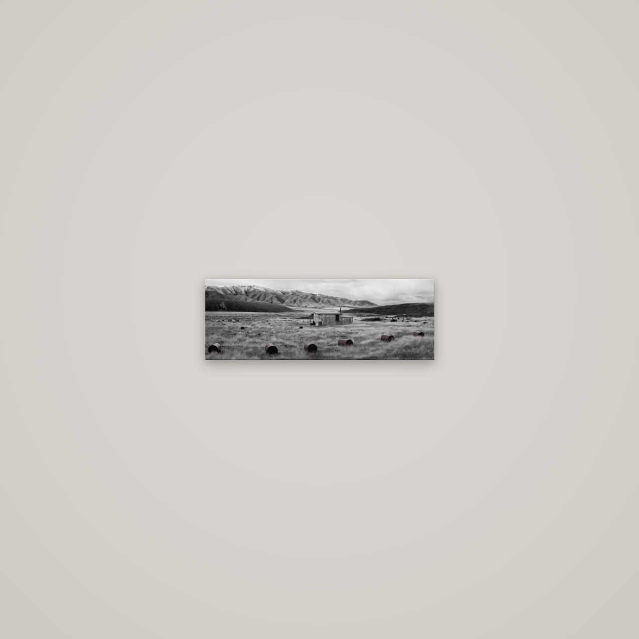 Solitude in the Wild, Barrels of Resilience — No frame, 34×12 cm. New Zealand fine art wall art by Stephen Milner.